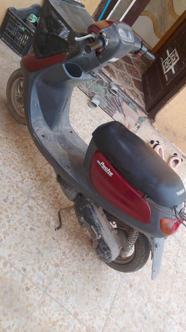 للبيع مابيه اي نقص سلف هندر كهربائيات كله شغاله مكاني كربلاء


**إذا كنت صاحب هذا الإعلان وتريد حذفه لأي سبب، رجاءا أرسل رسالة إلى الدعم الفني**