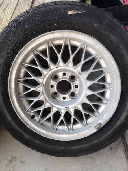 تخم ويل خليه للبيع حجم 15بغداد بلديات ***********
