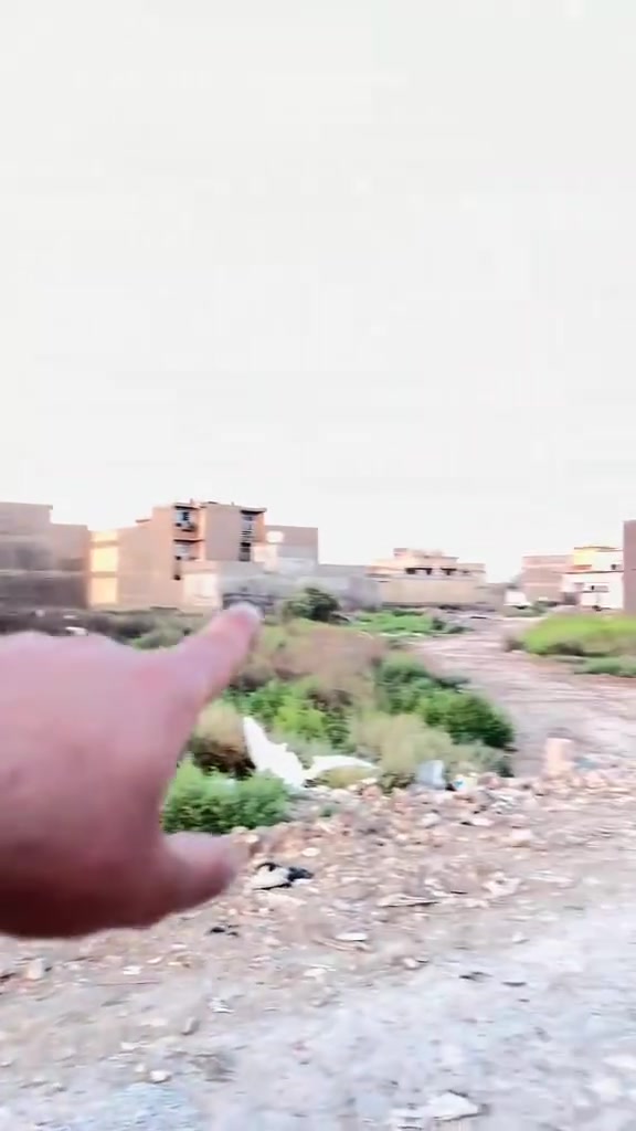***********
الصابيات
