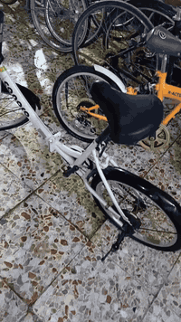 باسكلات حاوية جديد نظيف جدا .
باسكل حجم ٢٠ ابو طبكة نظيف جدا جدا . 

بريكات بل مكان . 

السعر ٦٥ الف . 

عنوان بغداد البياع شرطة الخامسة قرب مدرسة القادستين مرتضى ابو الباسكلات .

اتصال ***********
