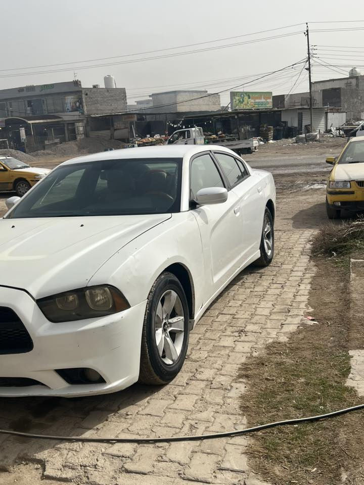 بسبب الوعود الكاذبه والعالم لي ماتستحي من عده العالم الخوش أوادم جارجر 2014 ادوات ادوات رقم انكليزي جديد هوه وسنويه سياره كير موس تحكم كشنات تحكم استيرن سستم صوت سياره جاهزه الأخير تخم تاير صدر امامي خلفي جديد كير ومكينه كفاله دهن جديد اترايك من بغداد البصره جاهزه الستفسار ***********مكانها بغداد المو شراي لا يتعبني مراوس ماراوس فقط بيع سنويه 29 يلا تنتهي متومه طبق الأصل 55 وبيها مجال كصه فقط قماره
