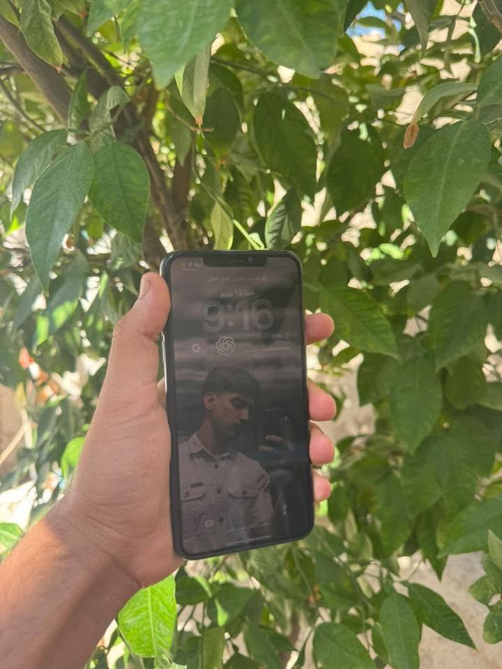 السلام عليكم
iPhone 11 Pro Max
لون اسود 
الذاكرة العملاقه 512 نص تيرة
بطاريه 89 
الجهاز كله بلادي ع وضع الشركه 
نضافه 100‎%‎ شخط مبي الجهاز 
نموذج m 
الجهاز سلس بل استخدام 
مبي لاك ولا اي مشكله 
كلشي شغال بي 
فيس ايدي ✅كامرات✅ سماعات✅ سيمكارت✅ شبكه الانترنت✅ 
الي ياخذة يترحملي 
*ملاحضه بسيطة : الجهاز فقط بطاريه معلايه غير هلشي كلشي ماكو + صرفيه الشحن تخبل ابد ميصرف شحن 
ووين متريد افحص حاسبه كله نورمال 
السعر 425 وبي مجال 
الي مايعجبه السعر ويكول غالي لايعلق 
السعر حگ الجهاز لان الذاكره جبيرة وقليل بلسوگ
يرهم مراوس 13 عادي 
مكاني بغداد حي الاعلام 
 *********** موجود واتساب 
اقرة لمنشور زين اله تخابرني 

اسف ع اطاله🤍
