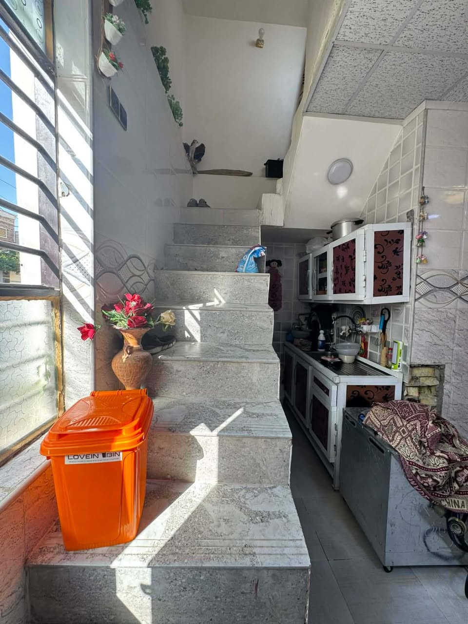 مرحبا
***********

بيت ٥٠ متر مربع

#طابو زراعي 

عنوان البيت النجف شارع الحولي مقابل قريه الغدير  مباشرعمود٢٦٠  
 

اساس صب بناء طابوك جمعوري سكف صب كونكريت

كل الخدمات موجوده
السعر ٢٤ مع المجال
