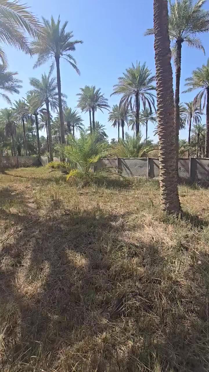 ٢٠٠٠م تحويل اسهم للببع العنوان كربلاء شارع البزل الرئيسي تفاصيل وسعر بالفيديو للاستفسار ***********
***********
 #بغداد #للبيع #العراق #فولو #متابعين
