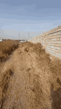 نصف دونم في مجمع السفير
سند 25 طابو زراعي حق التصرف
الواجهة 25 
النزال 50 
تبليط. كهرباء. ماء
السعر 170 مليون
بيه مجال للجادين
للاستفسار الاتصال على الرقم *********** واتس اب
