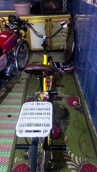 بيسكل • للبيع