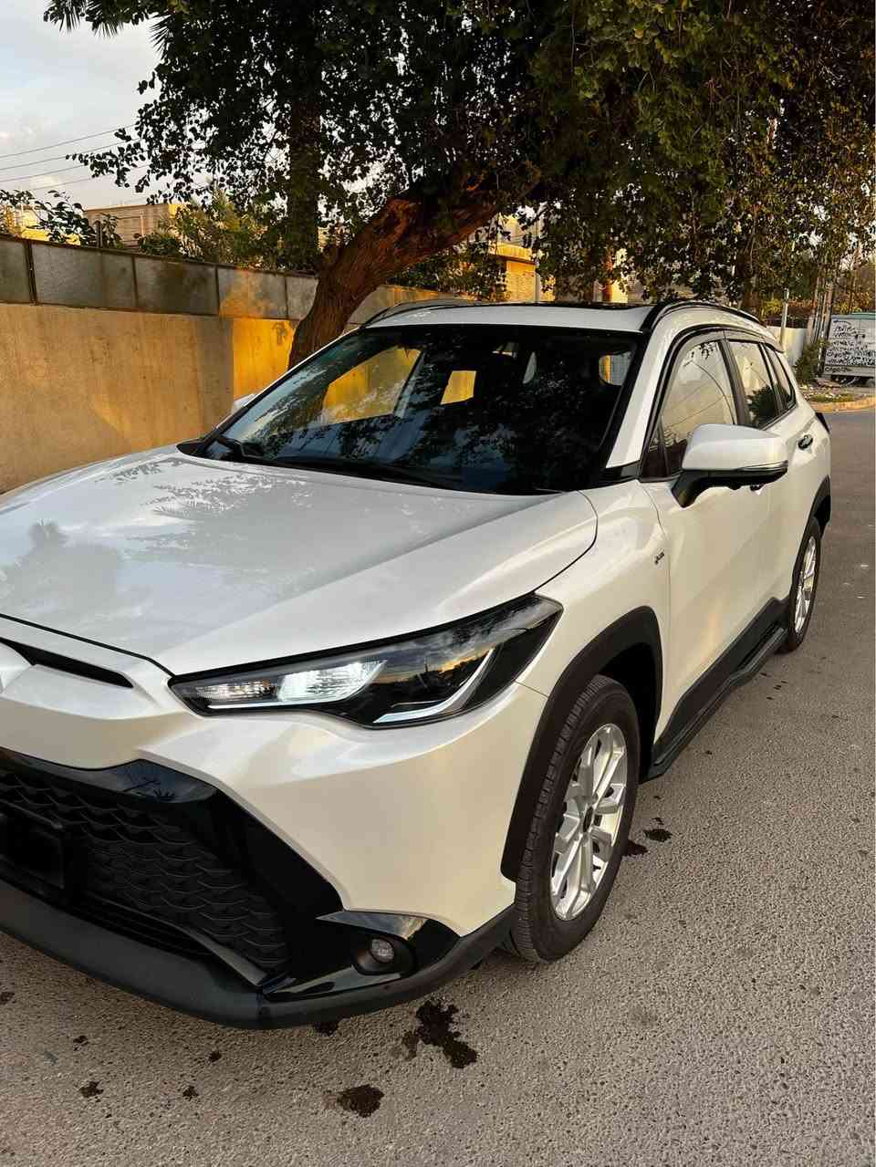 فروتلاندر 2025 فول مواصفات ماشيه 9000 رقم بغداد تحويل مباشر بحالة الوكاله
بصمه/دخول ذكي/تحكم ستير جهتين/تحديد مسار/هندبريك بصمه/ اوتو هولد/شاشه كار بلي/فتحة سقف/تكييف منفصل مناخين/شاحن واير لس /مداخل شحن تايب سي/ كامرات 360 مع تسجيل فديو / داخل جلد اسود /كرسي كهرباء/صندوق كهرباء/بردة صندوقك/ حمالات قماره /دواسات خارجيه مال فروت أصليات/بروجكتور زنون /لايت زنون/ارضيات حوضيه مع صندوق/مطريات 6 قطع اصلي/دوشمه جلد ماروني اماراتي/داشكام امامي خلفي تسجيل 24 ساعه 
مكاني بغداد حي الجهاد 
التواصل عبر الواتساب او الاتصال 
*********** بغداد, العراق
