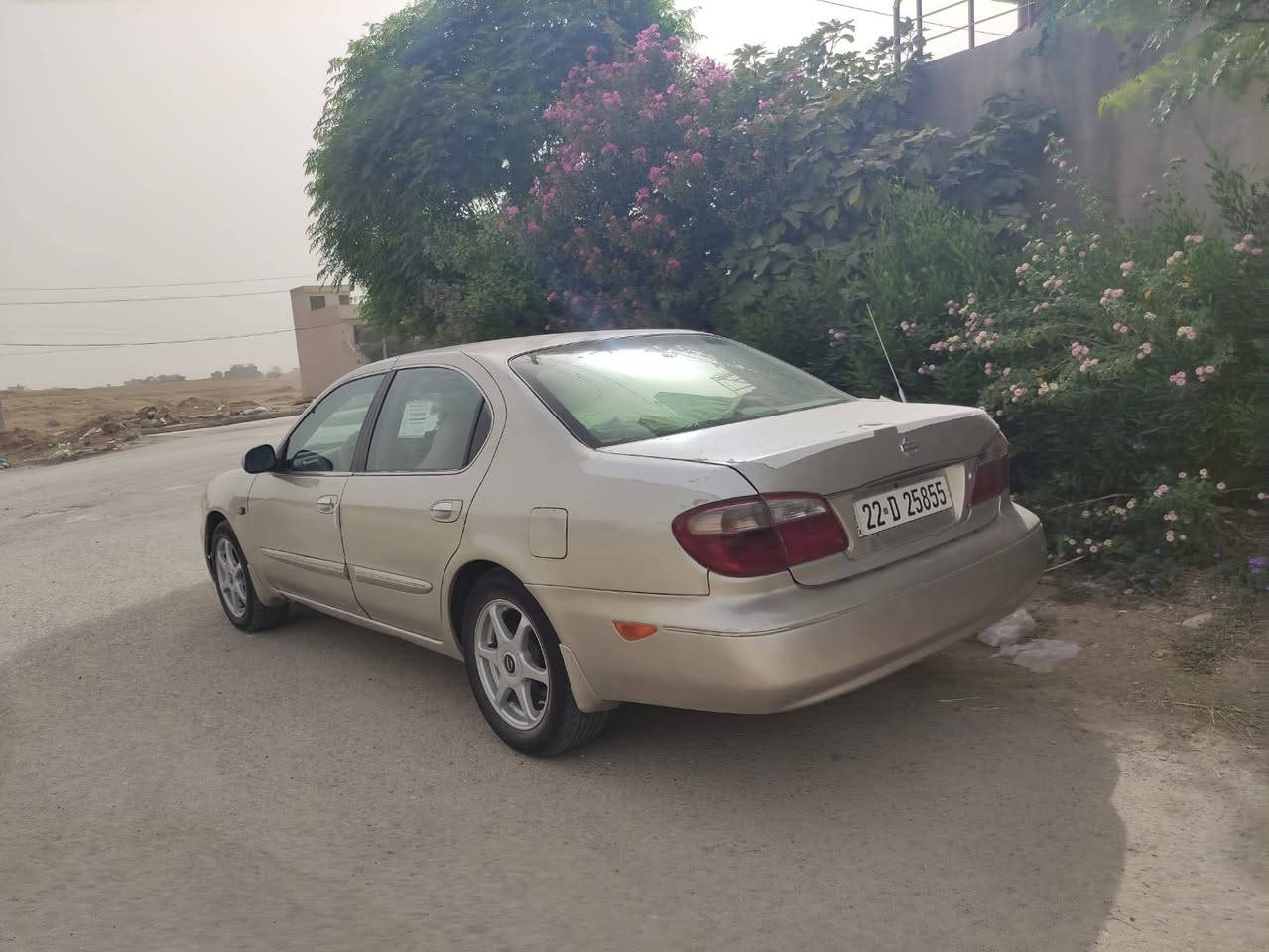 ماشاءاللە لەماڵی هەموولایەک
نیسان ماگزیما مۆدێل 2000هەزار
ژ.ت(***********)ڤایبەرو واتسئاپ
تەحوویلی ئەسڵیە بۆ هەموو عێراق
ناو زەردو گێڕ تۆماتیکە
قفڵ مەرکەزی و جام کارەبای و سندووق کۆنتڕۆڵە.کووشن جڵدە
گێڕو مەکینەی گۆڕاوە بە کامیری 2002
حیزام بۆیاخە بەبێ دەحم
سەنەوی تازەیە تاکوو 2030 بەناوی خۆمانەوەیە
تەحوویل و غڕامە بەشەرت
چوار وویل و تایەی جوانی لەژێرە
سعری خوار هەموو بازاڕ 45 گەڵاو کەمێک مەجال
شوێن ڕانیە.. رانية, السليمانية
