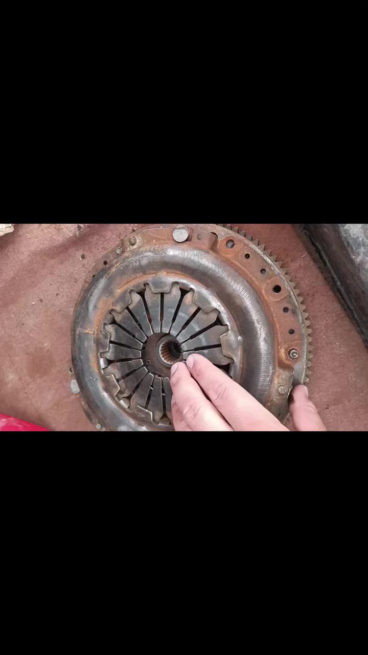 سلام و عليكم فلاوين و عينه و قورص مال انترا دمعه فتوح حاويه نضيف للبيع ***********
