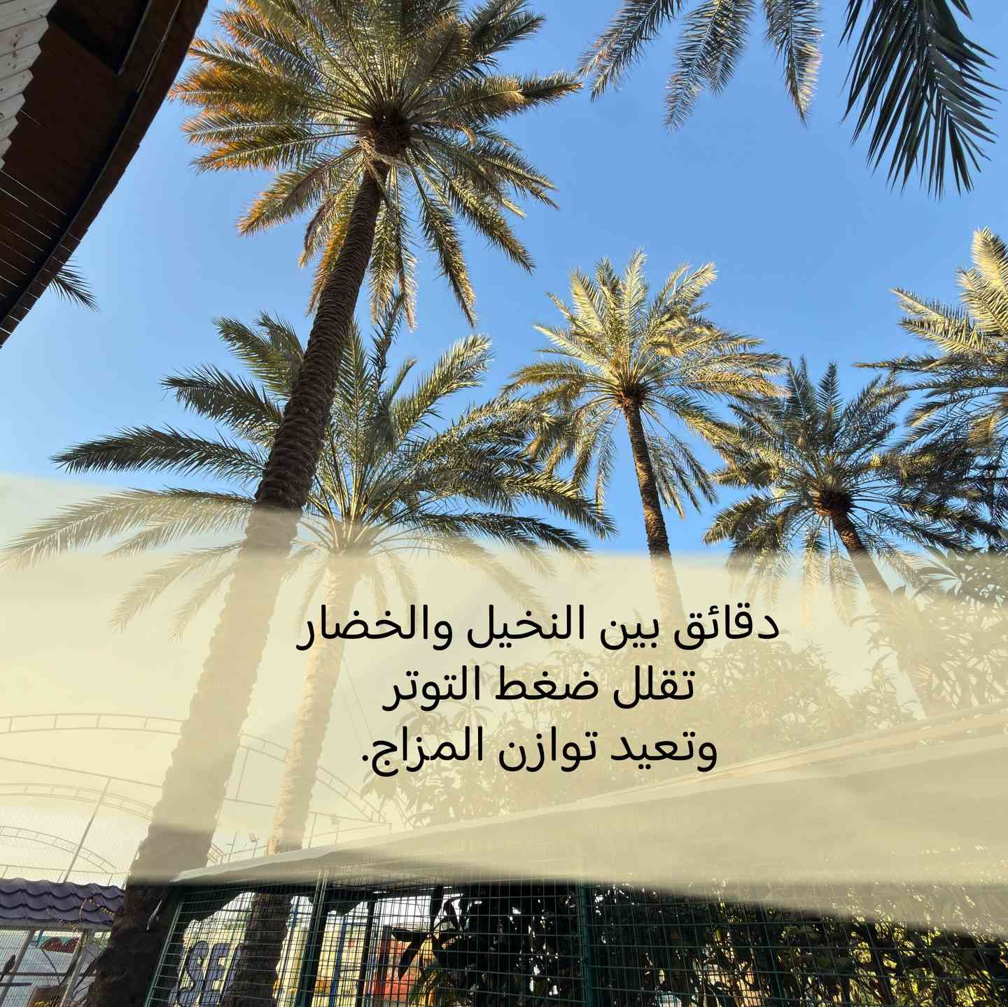 للحجز او الاستفسار التواصل عن طريق الرسائل في الانستغرام او الواتساب او على الرقم ***********
