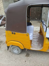 تكتك • معمرة • أوراق