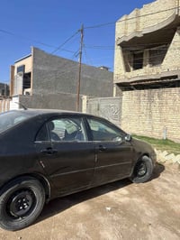 كورلا نحله • ٢٠٠٦ • فلوجه