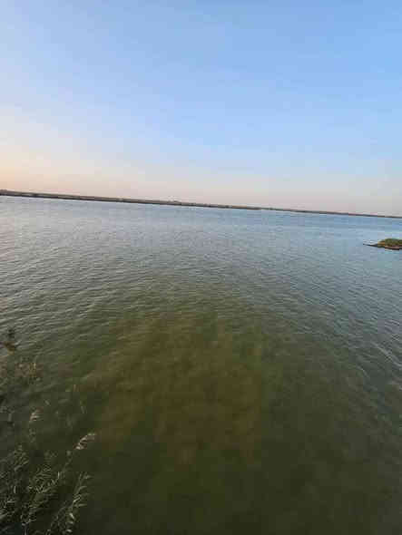 شاليه للبيع – على شط العرب مباشرة

شاليه مميز للبيع بمساحة 2000 متر، طابو ملك صرف سهم مع تحويل مباشر باسم المشتري.

الموقع: البصرة – أبي الخصيب
المميزات:

إطلالة مباشرة على شط العرب

موقع هادئ ومناسب للاستجمام

أوراق رسمية جاهزة للتحويل

للاستفسار يرجى الاتصال على الرقم:  *********** البصرة
