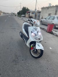 سكنس فحل • ياباني • نوزل خطين