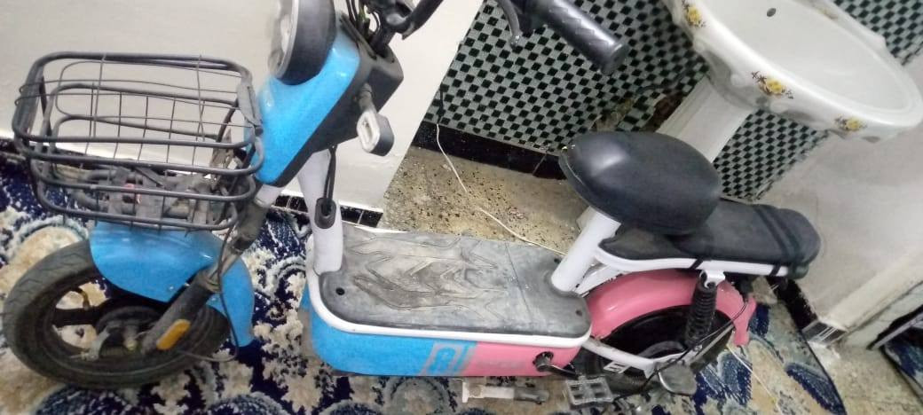 سلام عليكم بايسكل شحن حجم 14 موديل 24 باسكيل مال شركه صار له شهر جبته العنوان بغداد الحريه الثانيه اقبال مصور عيسى السعر 250 وبي مجال الرقم  *********** اهلا وسهلا بكم
