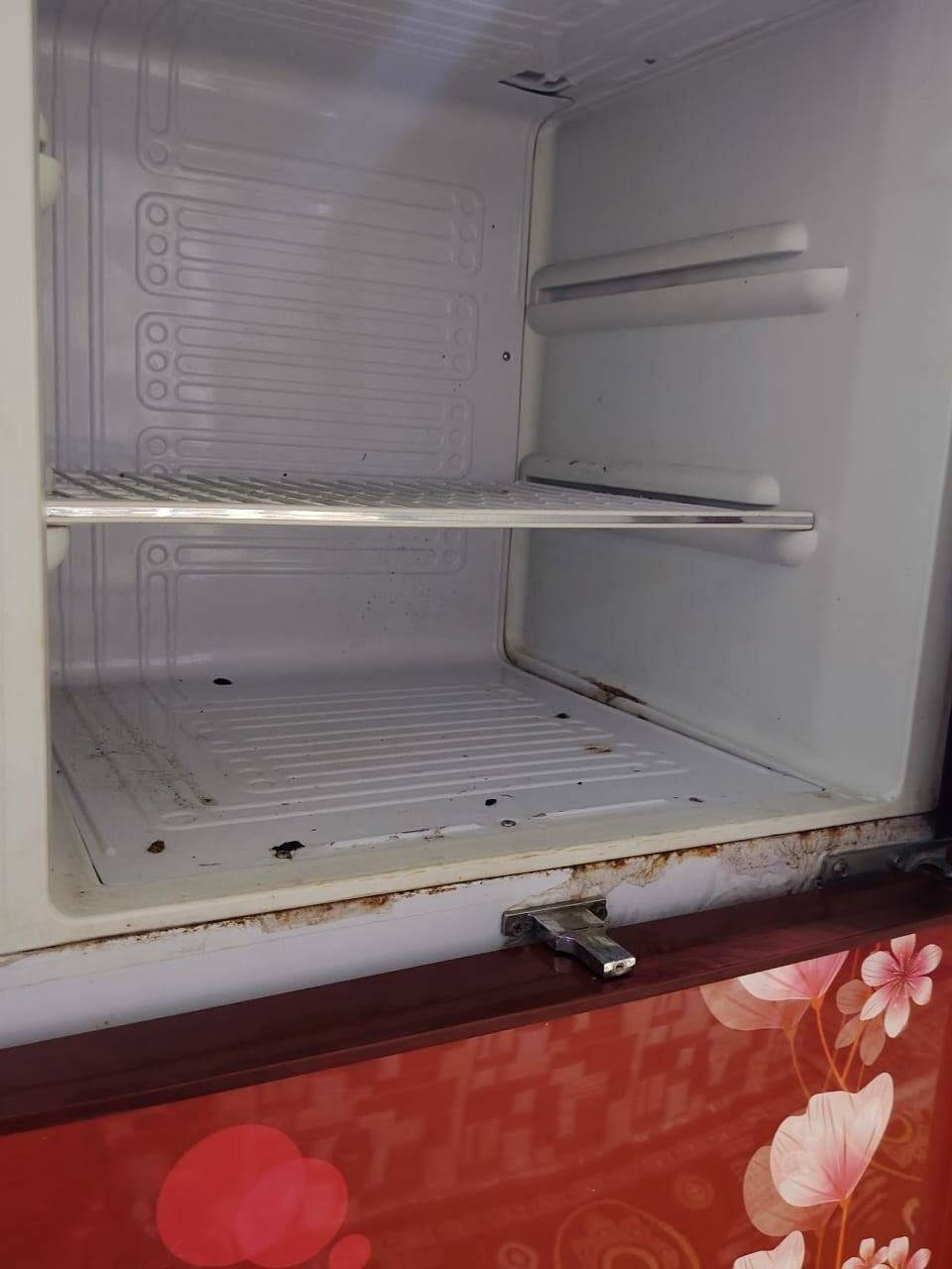 ثلاجه للبيع حجم كبير نضافه %90على فحص


**إذا كنت صاحب هذا الإعلان وتريد حذفه لأي سبب، رجاءا أرسل رسالة إلى الدعم الفني**