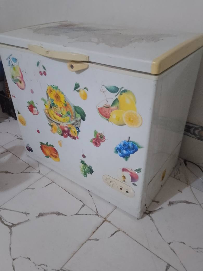 مجمده شغاله شرط حيل نظيفه يرهم مراوس بعاطل والعنده هم نشتري ‏‪***********‬‏ كركوك, العراق

