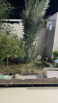 منطقة السفينه • ٢٢٠م • طابقين