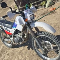 قفاز • مكفول • ام الغزالة