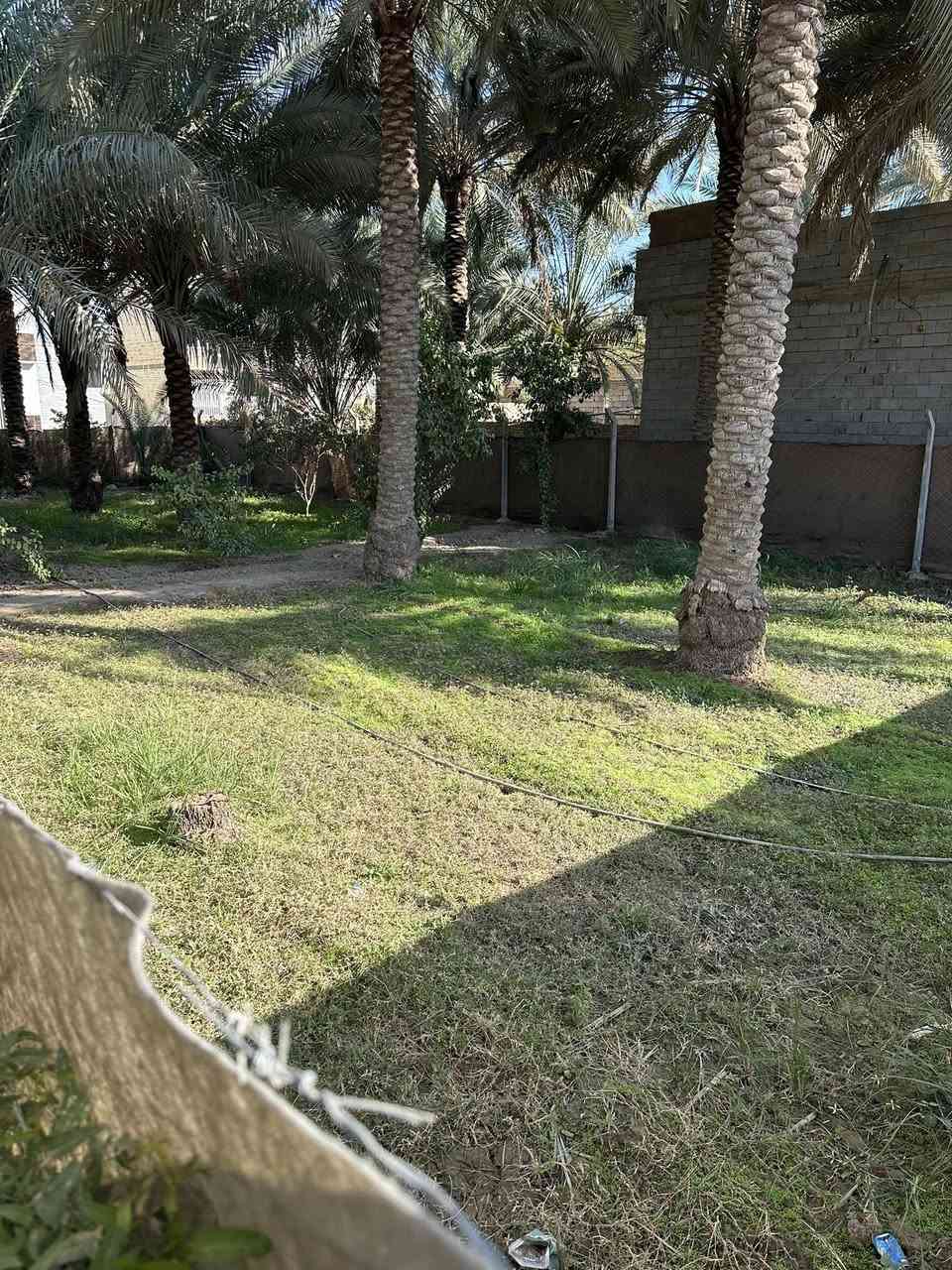 🔴 أرض للبيع المساحة 400 متر
🔴 الموقع كربلاء شارع بغداد مقابل عامود 50 جهة الدخول الخدمي جهة النافورة قرب الشارع العام 
🔴 طابو زراعي سند 25 أقرار محكمة 
🔴 تقع الأرض في منطقة سكنية توجد فيها كافة الخدمات ماء وكهرباء ومجاري وتبليط 
🔴 يوجد فيها أشجار ونخيل 
🔴 الواجهة 14متر و30سم 
🔴 السعر 250 مليون وبيها مجال بسيط جداً 
🔴 للأستفسار الأتصال ***********
