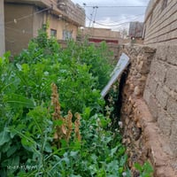 تنظيف حدائق • منجل • جنوب الموصل