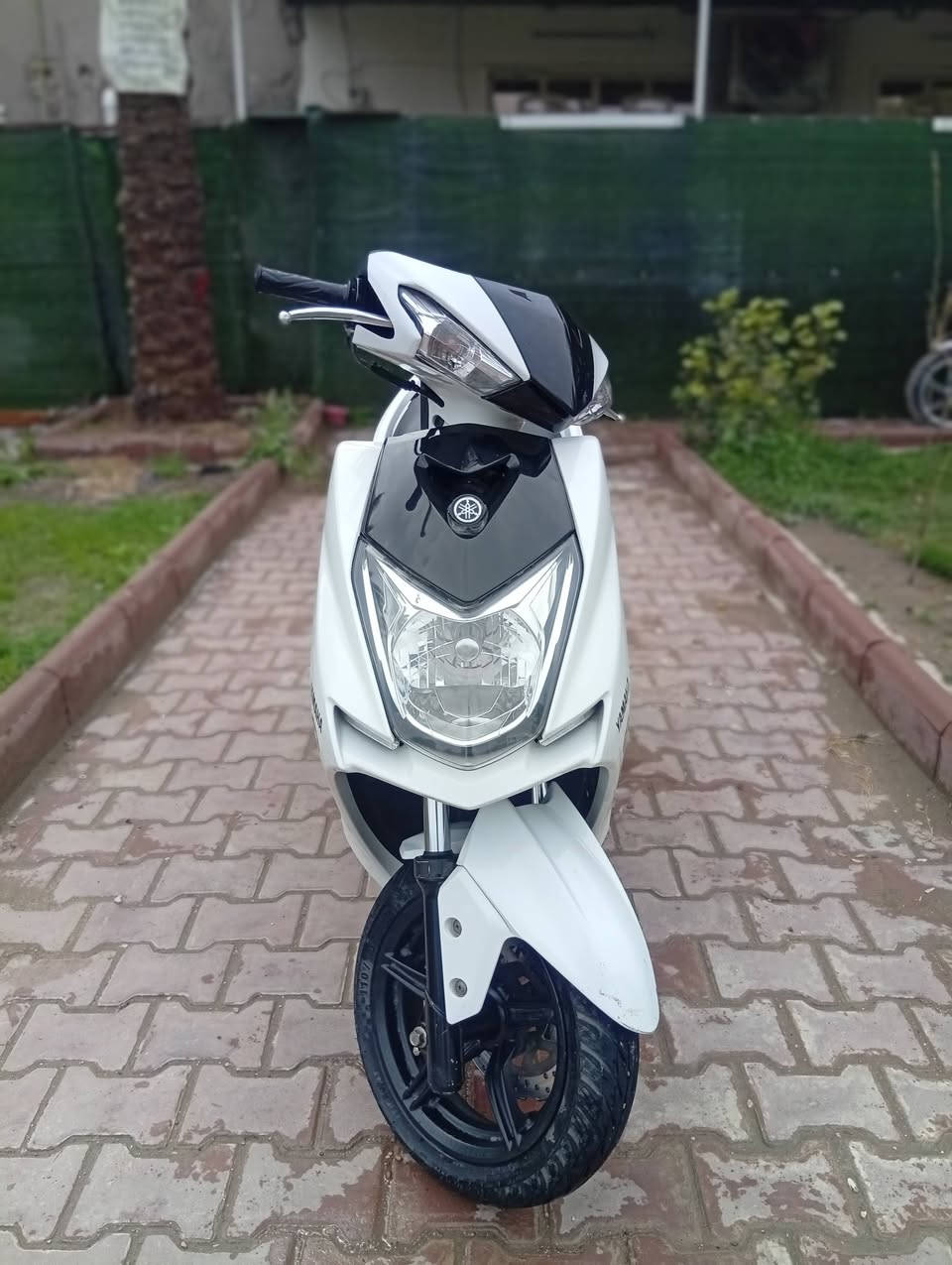 السلام عليكم سكنس شمعه موديل 2018 دراجه جديده اي نقص مابيه اوراق موجوده ياباني قبق نفخ ماشيه 54 تأيرات  جدد دراجه رنبه السعر 1800 الشراي ينتصل العنوان بغداد الغزاليه ***********
