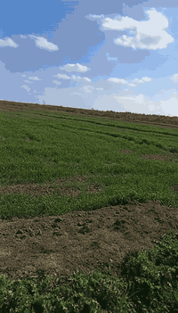 أرض زراعية ٨٦دونم طابو زراعي ٢٥ حصة مائية وكهرباء تبعد عن شارع المطار ...