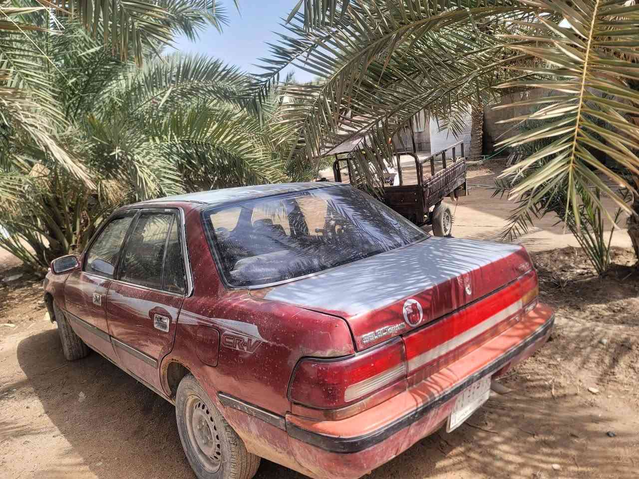 كرونا يسرا بلاد كير عادي لاصبغ ولاضربه جارده شويه بسم جاري ابو الخصيب سعرها 23  ***********
