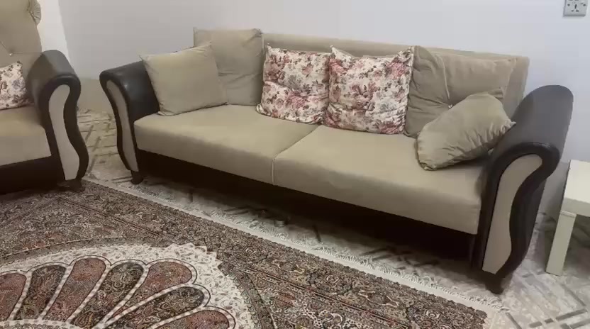 تخم قنفات تركي (١٠) مقاعد ثابت تواصل مسنجر او وتس ***********
