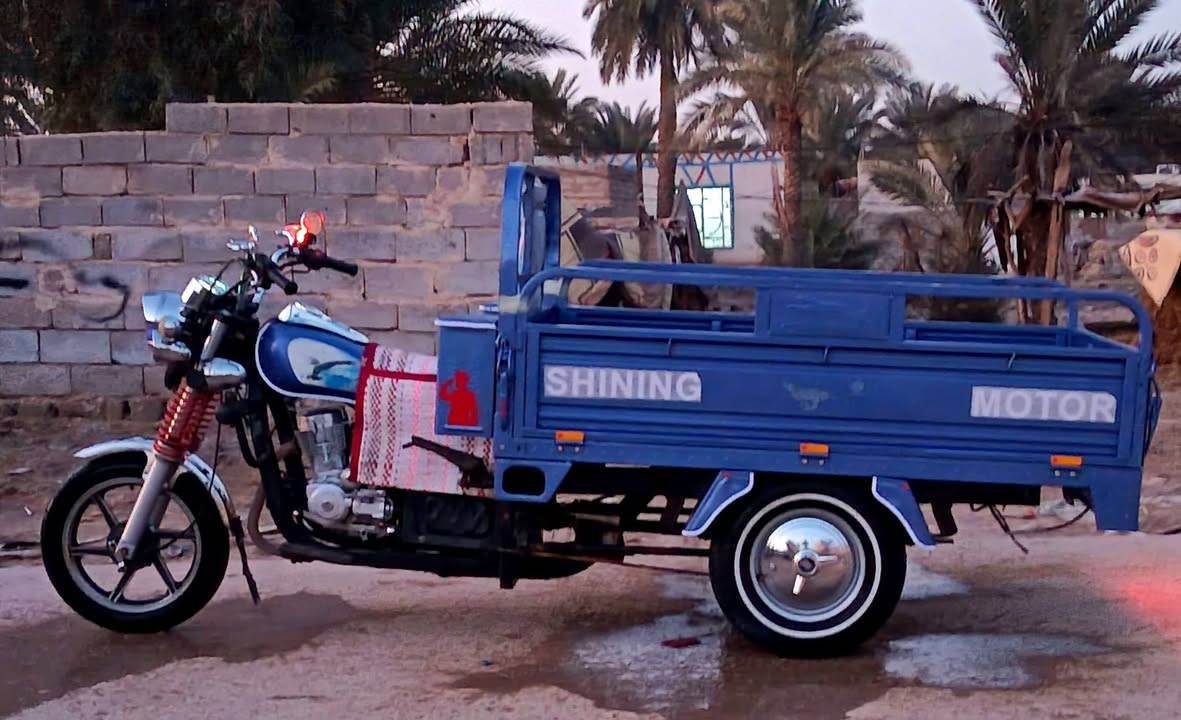 ﷺ
ستوته جمره فحل 2023 طالعه 2024 مكينه 2025 #رقم_وسنويه بسمي دشبول اكتروني كفالة عامه تخم تاير جوبلس اليوم شاده 
ستوت امربله وكامله  كهربائيات كله شغاله
الشراي يتصل واني خادم مكان نجف مناذره 
***********
