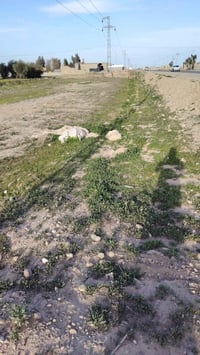 محلات • ١٥٠م • مقابل سلوان الراوي