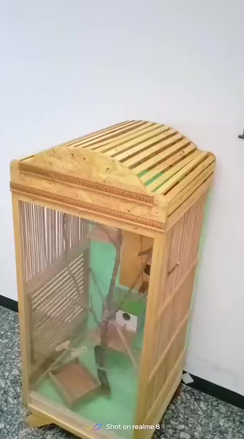 متاح قفص داخلي  لطيور الزينه ديكور كلش حلو شغل درجه اولى ارتفاع ١٦٠ والعرض ٦٦


**إذا كنت صاحب هذا الإعلان وتريد حذفه لأي سبب، رجاءا أرسل رسالة إلى الدعم الفني**