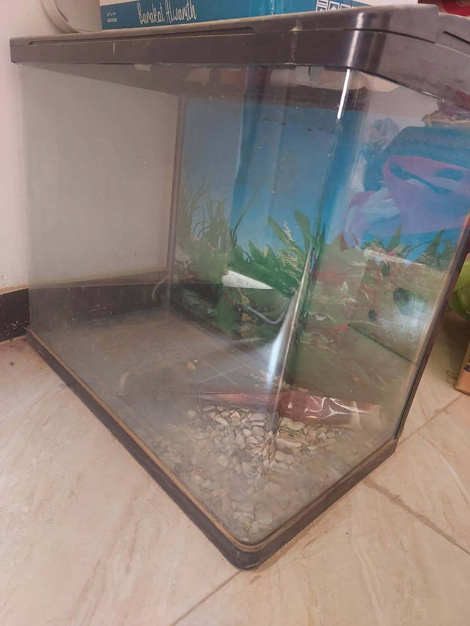 للبيع احواض سمك
حوض سمك مستطيل بسعر 25
حوض سمك المربع مع اغراضه بسعر 50


**إذا كنت صاحب هذا الإعلان وتريد حذفه لأي سبب، رجاءا أرسل رسالة إلى الدعم الفني**