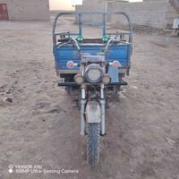 ستوته جمره كلك للبيع او مراوس ب امتيار اتصل 07829849040