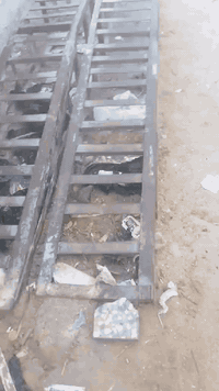 رنبات حديد • طول ٤ • نجف