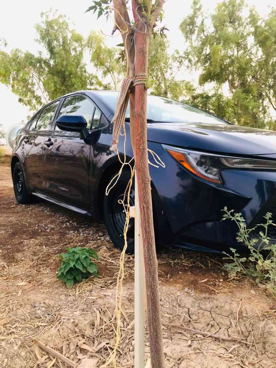 السلام عليكم ورحمة الله وبركاته
🚘 كورلا 2020 le  للبيع او مراوس مع هايبرد صيني 

✅ معوقين بغداد 
✅ وكالة خاصة
✅ ماشية 140 ألف
✅ ضرر جانبي جاملغ وبنيد وشوي من دواخل
الجامع مبدل والبنيد مصلح 
صبغ قطعتين و الباب كلير توحيد لون
بيهة كم رصعه 

📍 الموقع: ديالى بعقوبه

💰 السعر: 132، قابل للتفاوض البسيط

📞 للاستفسار: ***********
