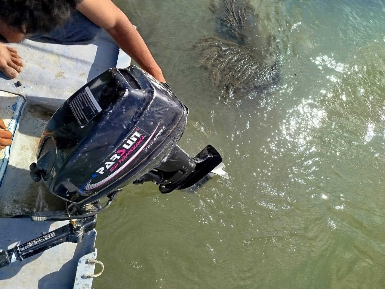 سلام عليكم مكينه بيرسن 15 لا مفتوح لا كير ولا محرك لبيع مكاني كوت الموفقيه وهاذه رقمي
***********
