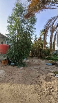 دونم • مطل على نهر • طابو ملك