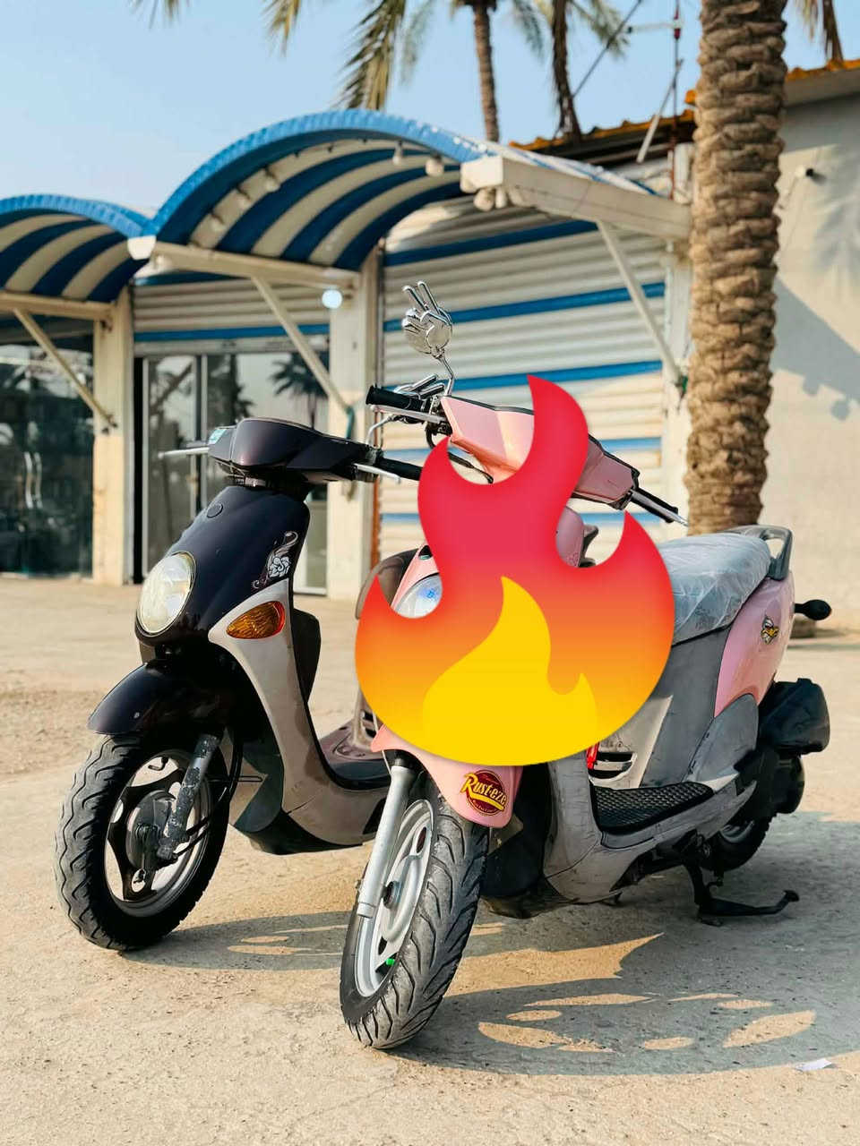 السلام عليكم
فله البيع الجوزي حبايب الدراجه وكاله  كلها  بلادي كله شغله مكينه ما مفتوح و ناعمه كلش الدراجه نوزل مكان الدراجه بل حله حي الجزائر (ما متواجد فيس) الاستفسار اكثر عل رقم  ***********
