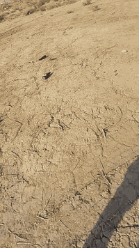 قطعة ارض للبيع طابو صرف توزيع الشهداء مقاطعة ام م عباسيات مساحة 100م قريبة علي تبليط 200م عن التبليط رقم القطعة 968 للاستفسار الاتصال او خاص ***********#
