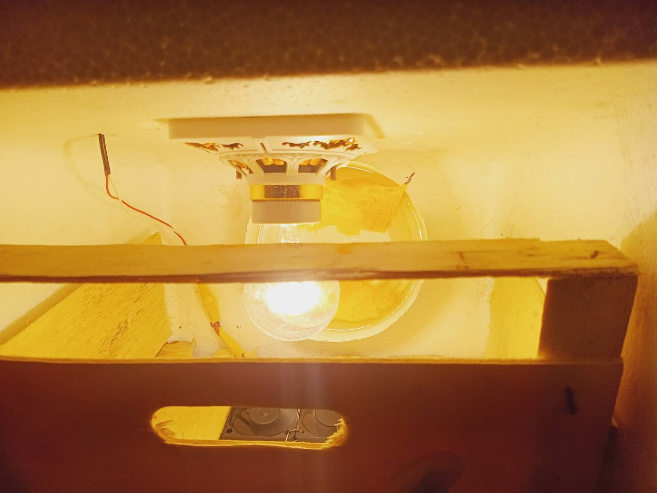 متاح
BOxفقاسه فلين تقليب يدوي جاهزه تحضن اكثر من ٣٥ بيضه تقريبا و متحكم الحراره درجته منظمه ما عليك بس تخلي بيه البيض السعر ٥٠الف 
       الشراي يجي خاص وبخدمتك
مكاني/البصره حي الصدقاء


**إذا كنت صاحب هذا الإعلان وتريد حذفه لأي سبب، رجاءا أرسل رسالة إلى الدعم الفني**