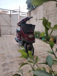 للبيع • مجال