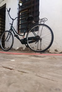 باسكل • ابو صخير • زيتوني