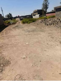 شاطئ التاجي الشيخ حمد • ٢٢٥م • وقف