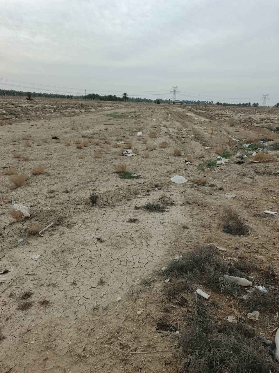 اسلام عليكم قطعه ارض لبيع المساحه الكليه 2دونم ونص
طابو زراعي سند 25 كافت الخدمات متوفره
بصف الشارع العام يلي يدخل عله ابو غرق الوصط
عله بزل حجي علي عل شارع العام صايره
تصلح مزرعه تصلح تقسيم شنو اتريده اصير حلوه
 بسعر مناسب. التفاصيل اكثر اتصال ع الرقام
***********.            ***********
