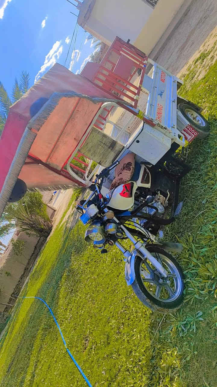 السلام عليكم ستوته ام طير موديل 22 أوراق اصوليه 7 أوراق 
***********
***********
