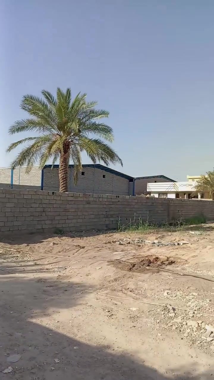 سلام عليكم 600 متر الواجه 13 نزال ٤٧ سند 25 اصوليه بل مصابيح وره شقاق مال مصابيح تبعد عن صابيات عشر دقيقه عن الكاضميه ربع ساعه المنطقه هدوء تحتوي الارض سبتتينج صوندا مال ماي كهرباء 24 ساعه شارع خمسه متر وخليه بالك اصوليه تصلح سكن مزرعه الاستفسار اتصال على هذا الرقم *********** كورك بي وتساب ***********
