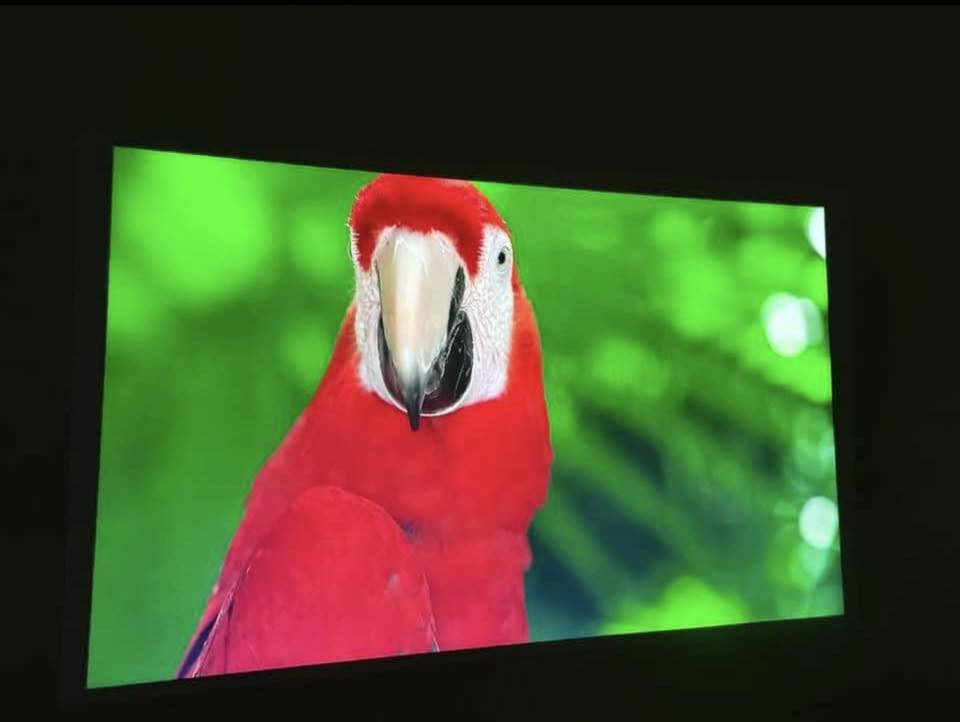 داتا شو WEMAX Android TV (Portable).
🔹 المواصفات
 • النظام: Android TV رسمي
 • Google Assistant: مدعوم (تحكم صوتي)
 • الدقة الأصلية: Full HD ‎1080p‎
 • يدعم: 4K
 • السطوع: تقريبًا 700 ANSI Lumens
 • التصحيح: Auto Keystone (تعديل تلقائي)
 • التركيز: تلقائي
 • الصوت: سماعات مدمجة (Dolby Audio)
 • الاتصال:
 • Wi-Fi
 • Bluetooth
 • HDMI
 • USB
 • التصميم: محمول + مقبض حمل
 • الاستخدام: بيت، سفر، عروض، ترفيه

🔹 المميزات

✅ أندرويد TV رسمي
✅ يشغل يوتيوب، نتفلكس، شاهد… مباشرة
التواصل واتس:***********
(جديد لوك) 
✅ تحكم صوتي
