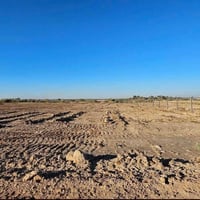 الجذار كربلاء • ٥ دونم • طابو سند ٢٥