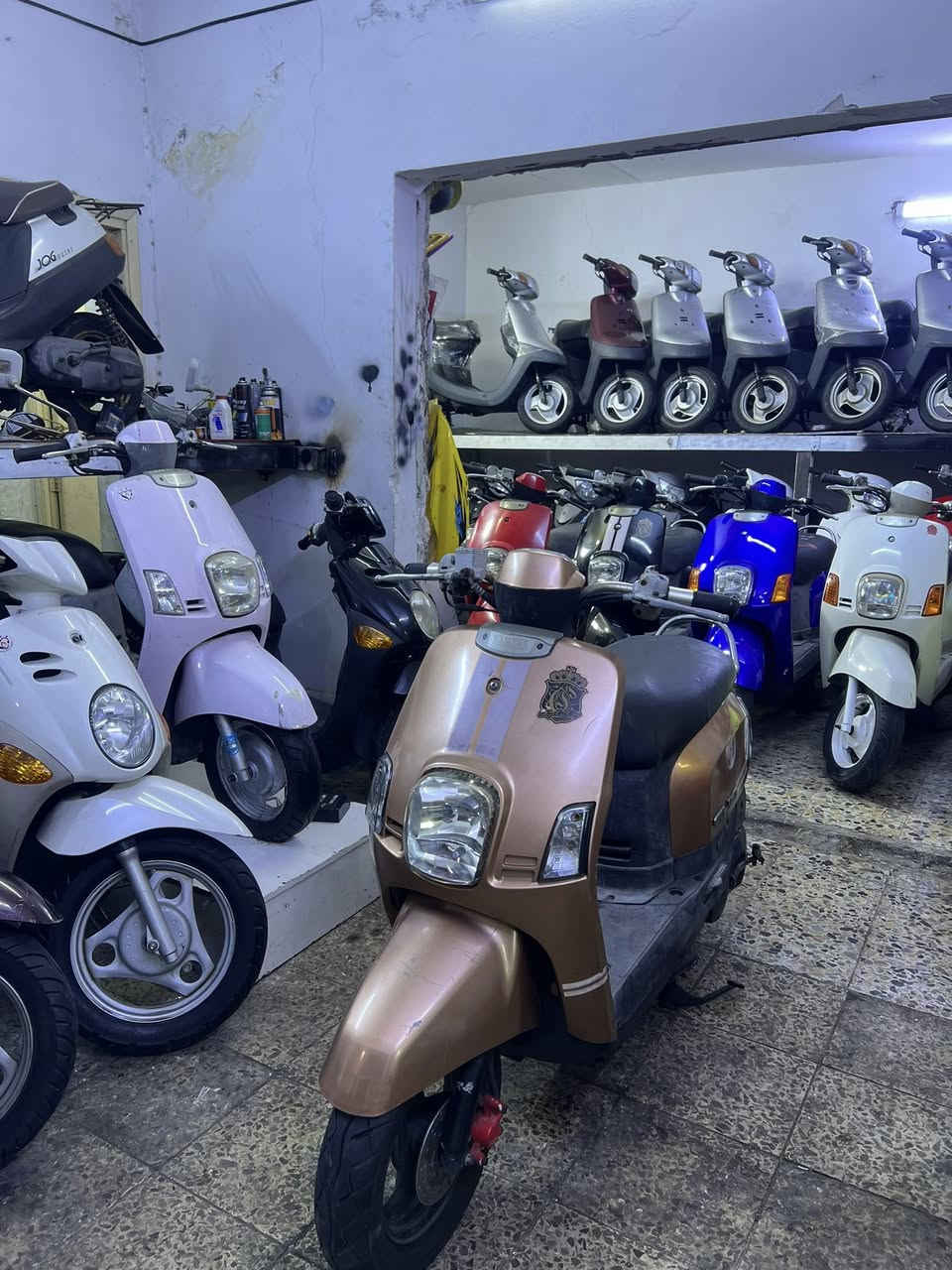 ماكس بوليسي كابريتر ٩٥٠⛔️
ماكس بوليسي شاشة صغيرة ٩٥٠⛔️
ماكس بوليسي مسطرة ١١٠٠⛔️
ماكس بوليس داخل كريمي ١٢٠٠⛔️
ماكس عدله مليون و٥٠⛔️
بطة موديل ٢٠٠٣ السعر٨٥٠⛔️
بطة موديل ٩٩ السعر٧٥٠⛔️
فلة السعر ١١٥٠⛔️
جبلة السعر ١٣٧٥⛔️
العنوان كربلاء
حي رمضان مقابيل مول الإبراهيمي 
معرض محمد
***********
***********
